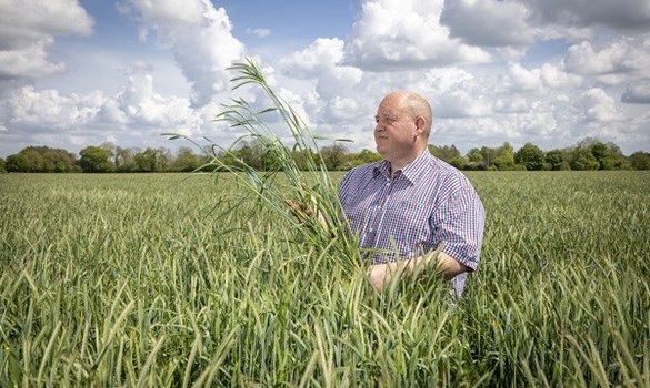 David Jones standing in a field